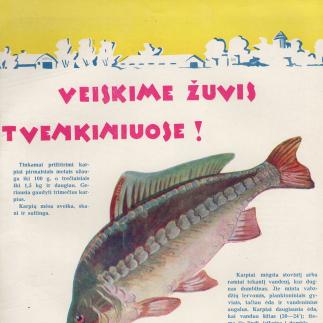 1960 - Veiskime žuvis tvenkiniuose!