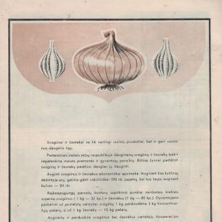 1971 - Parduokite svogūnus bei česnakus vartotojų kooperacijos supirkimo punktams