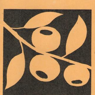 1974 - Svarainių sodinukai