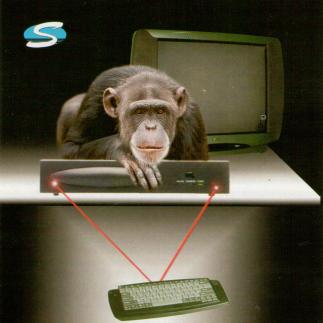 2000 - „Strauja“ / Internetas be PC? Internetas per TV!