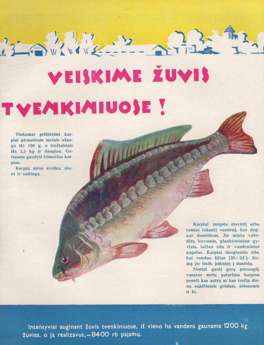Veiskime žuvis tvenkiniuose!