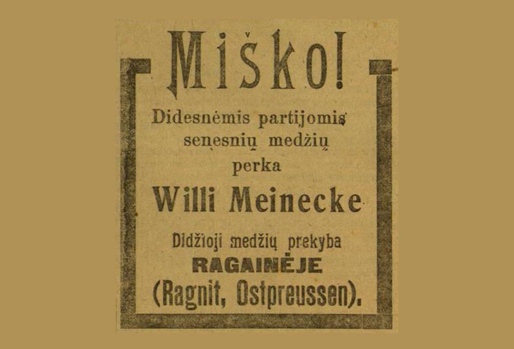 Miško! Didžioji medžių prekyba RAGAINĖJE